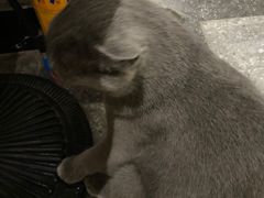 -NOTOOCAFE不二咖啡馆(岩前店)