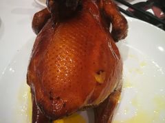 -稻香酒家·33年老字号·港式粤菜(富邦中心店)