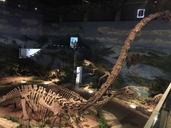 -自贡恐龙博物馆