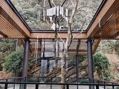 -宁海安岚·南溪阁全日餐厅