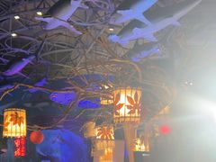 -烟台海昌鲸鲨海洋公园