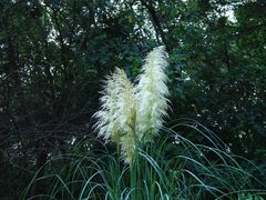 -南山风景名胜区