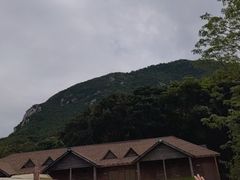 -杨梅坑