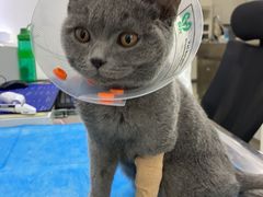 -北京恒爱动物医院(清景园分院)