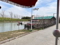 -合肥滨湖国家森林公园