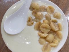 -沙湾姜埋奶(兴新包店)