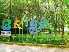 -达活泉公园