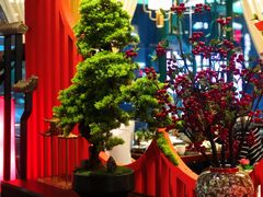 -禧鳳記·猪肚鸡火锅(玖洲道店)