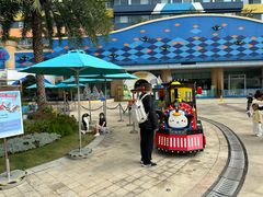 -喷泉广场餐厅·宵夜·海鲜烧烤大排档(长隆企鹅酒店)