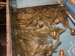 -嘉厨小馆(宜山路店)