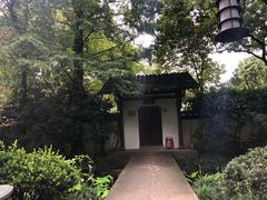 -郭庄茶室
