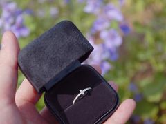 -Tiffany & Co.蒂芙尼
(南京德基广场店)