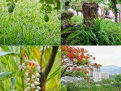 -广州神农草堂中医药博物馆