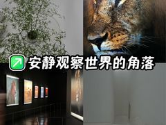 -罗红摄影艺术馆