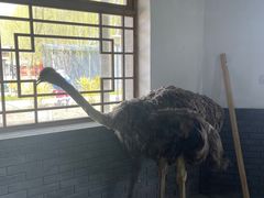 -河北村民俗体验园