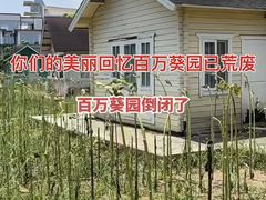 -百万葵园