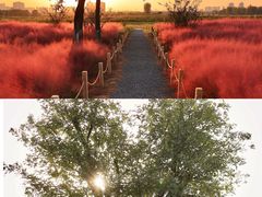 -汉长安城未央宫国家考古遗址公园