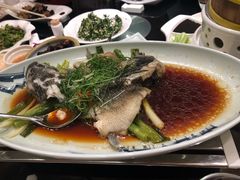 清蒸笋壳鱼-新南华大酒店(长寿店)