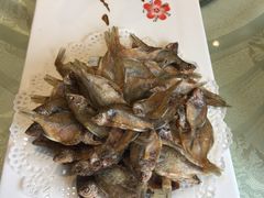 -九尊食上(生态园林酒店)