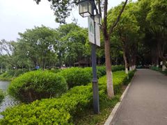-金银湖国家城市湿地公园