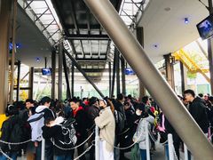 -飞天翼龙