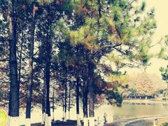 -白塘生态植物园