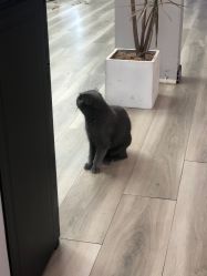 -KIMI HAIR SALON·烫染设计店