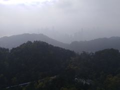 -大金鹰园