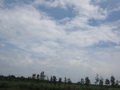 -大湾区中央湿地公园