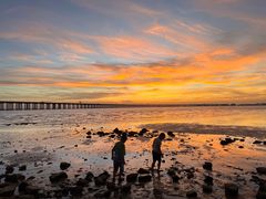 -宝安西湾红树林湿地公园