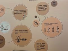 -中国农业博物馆