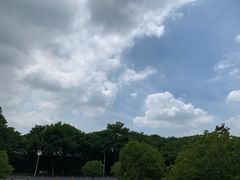 -东华大学(松江校区)