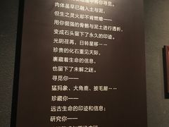 -大庆市博物馆