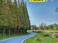 -宜兴龙背山森林公园