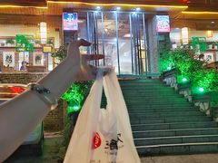 -李记茶油鸭(河西店)
