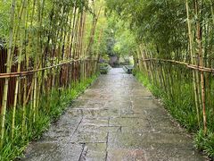 -新荣记(西溪湿地店)