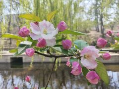 -元大都城垣遗址公园