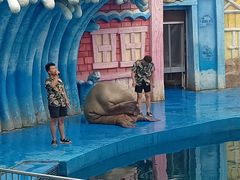 -华夏文旅海洋公园