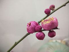 -欣旺·迎宾楼·百年无锡菜