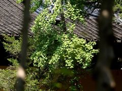 -寒山寺