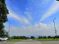 -铁山坪森林公园