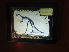 景点-自贡恐龙博物馆