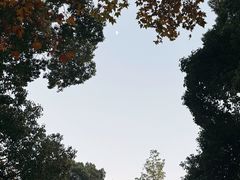 -莹珠阁·私房菜