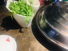 -肥鱼屯活鱼锅(惠工街店)