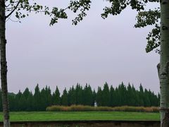 -汉长安城未央宫国家考古遗址公园