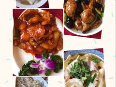 旭龙鱼头王-旭龙鱼头王(航华店)