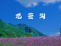 -龙苍沟森林公园