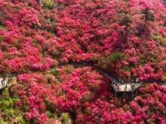 -木兰云雾山