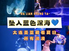 -大连圣亚海洋世界