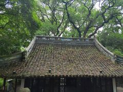 -绮园景区